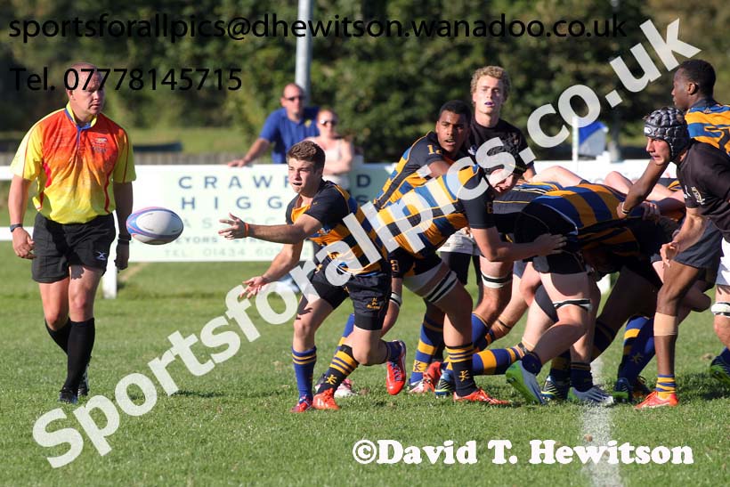 2014 Tynedale RFC School Rugby Festival. Photo: David T. Hewitson/Sports for All Pics